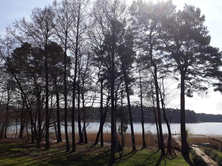Penthouse Bernd Im Waldschloesschen Direkt Am See 벤디쉬 리츠 외부 사진