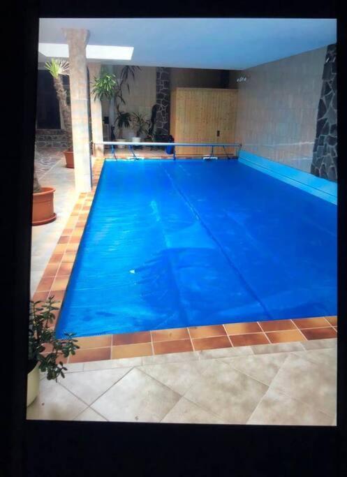 Penthouse Bernd Im Waldschloesschen Direkt Am See 벤디쉬 리츠 외부 사진